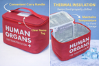 Human Organs Lunch Bag