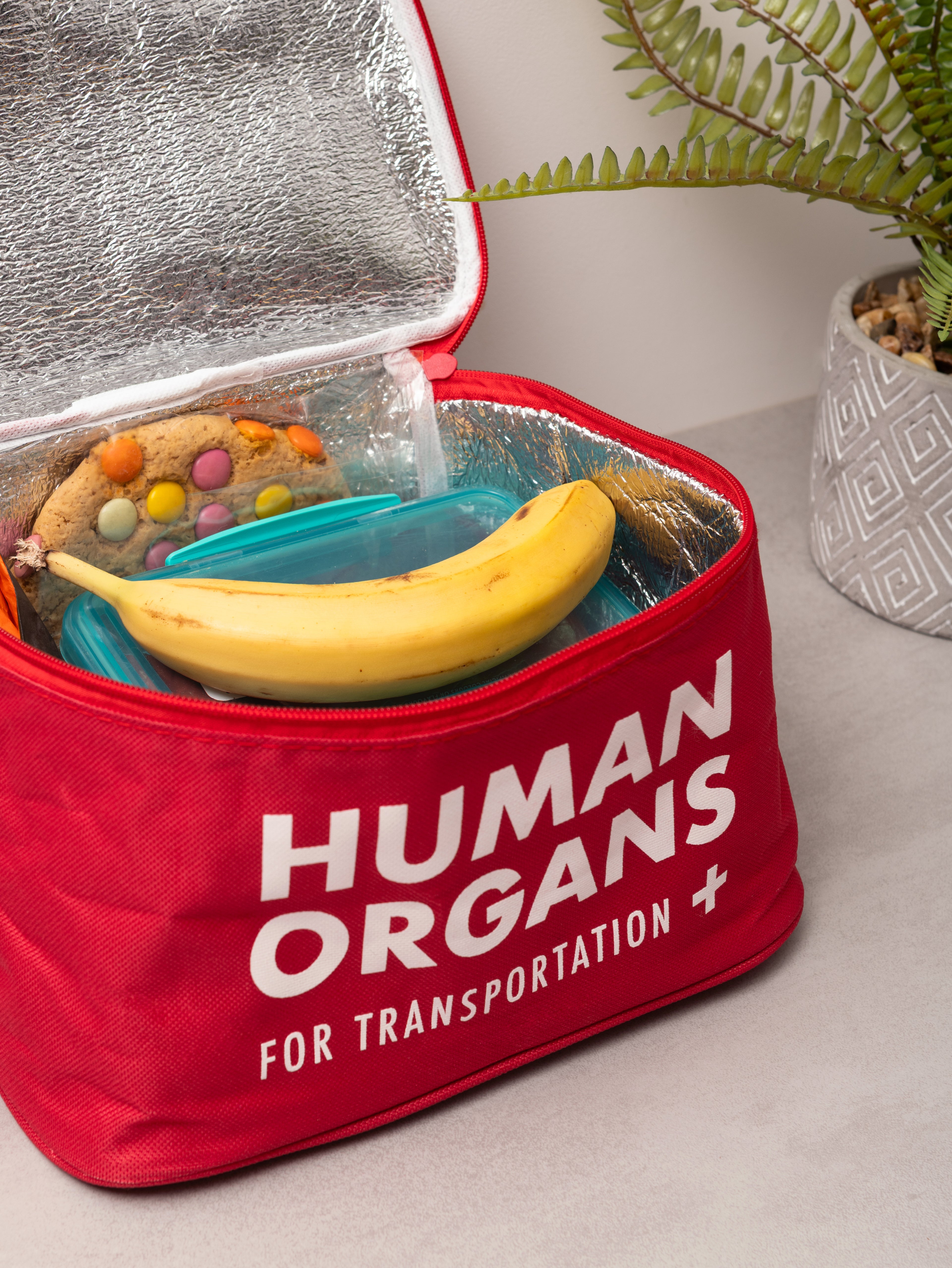 Human Organs Lunch Bag