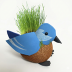 Grow a Hairy Tit