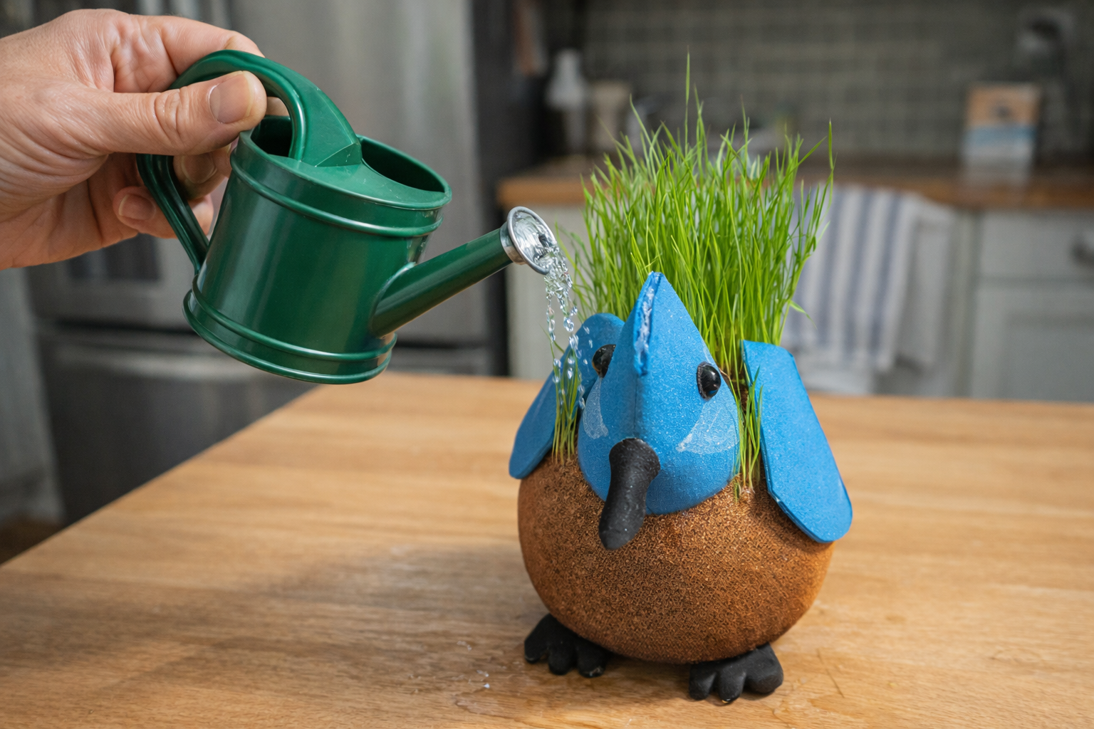 Grow a Hairy Tit