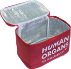Human Organs Lunch Bag