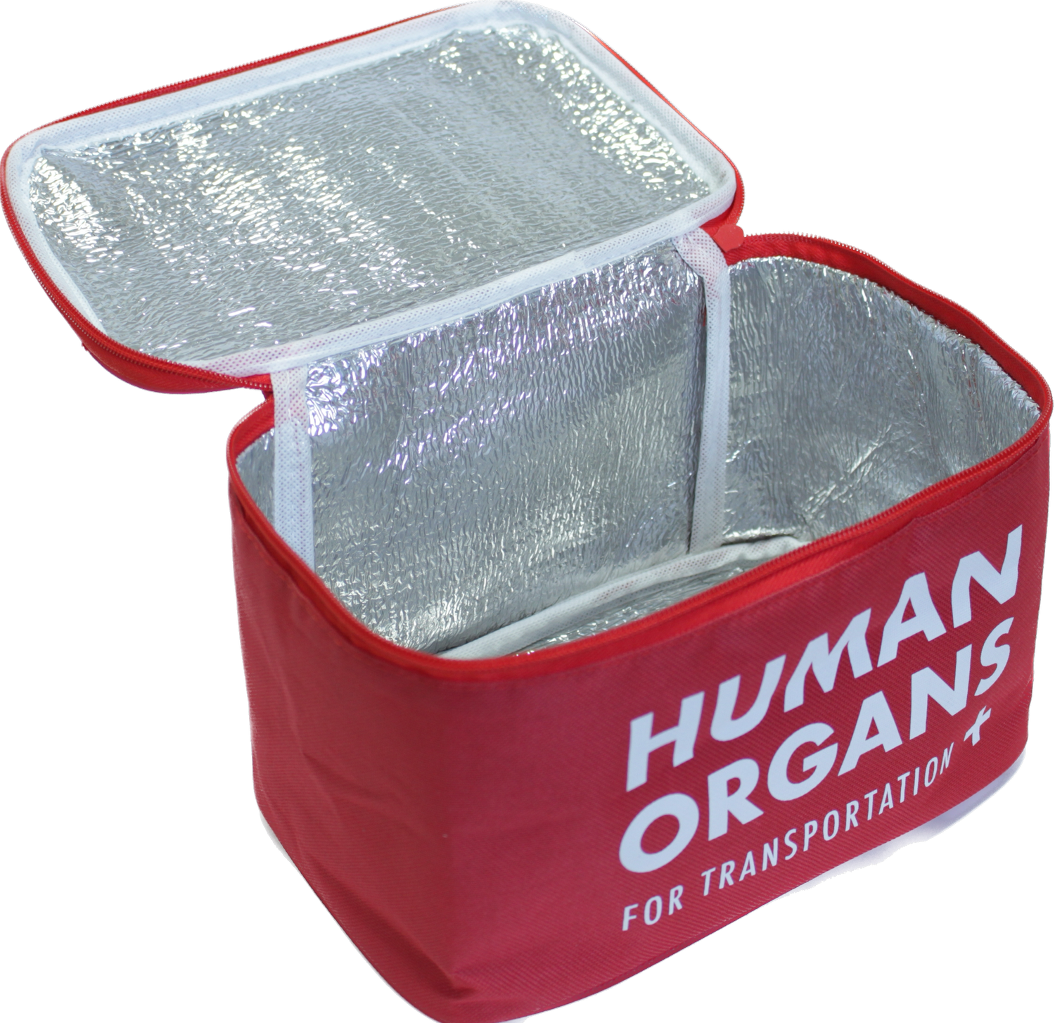 Human Organs Lunch Bag